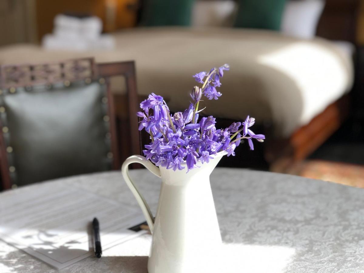 Lissanisky House Bed and Breakfast Ballymackey Εξωτερικό φωτογραφία